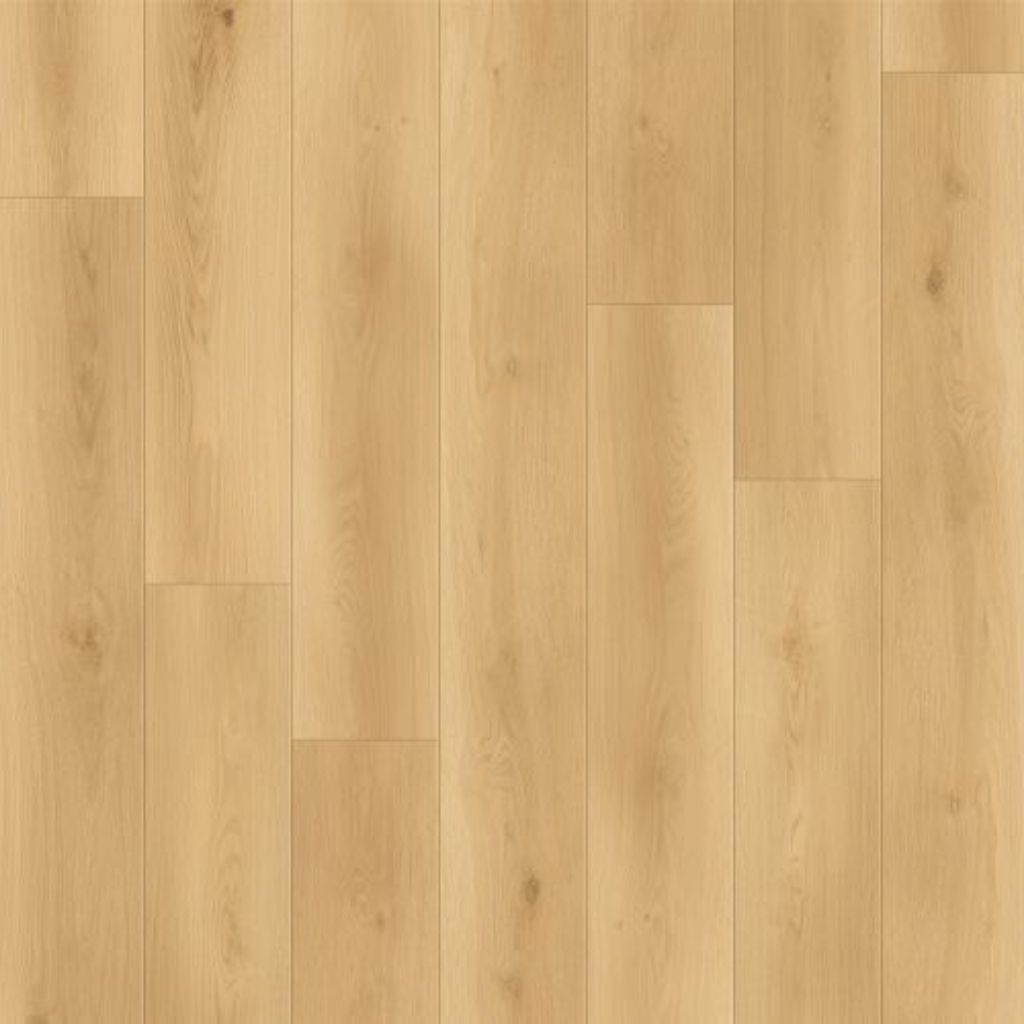 LIONS FLOORING : CANYON COAST - LI-CC05 - SUMMIT SHORE LINE