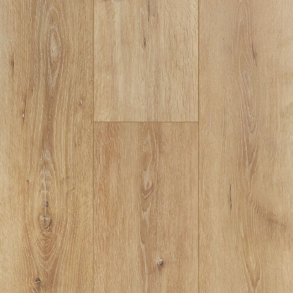 AMERICAN COASTAL COLLECTION - WRLRS - AMERICAN WRC - RAINBOW SPRINGS