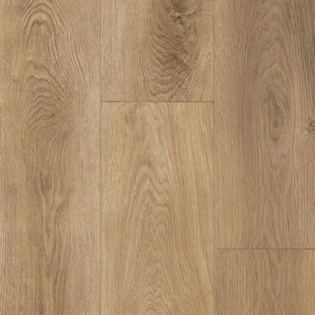 AMERICAN COASTAL COLLECTION - WRLBB - AMERICAN WRC - BISCAYNE BAY