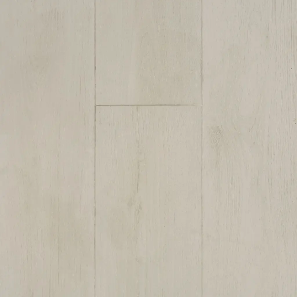 AMERICAN COASTAL COLLECTION - WRLVK - AMERICAN WRC - VIRGINIA KEY