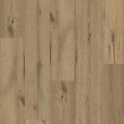 [D&MFLOOR-DMSR-DL03-SAFARITAN] D&M FLOORING : DESIGNER LINE - ROYAL OAK - DMSR-DL03 - SAFARI TAN