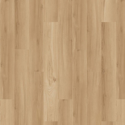 [MOHAWKFLOOR-207-ELLIS] MOHAWK VINYL FLOORING - ELLIS 207 ARBOR TERRACE SDE03