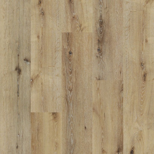 [LAWSONFLOOR-PS8304-DALY] LAWSON LEGENDS FLOORING:LEGENDS PLUS COLLECTION –PS8304 DALY